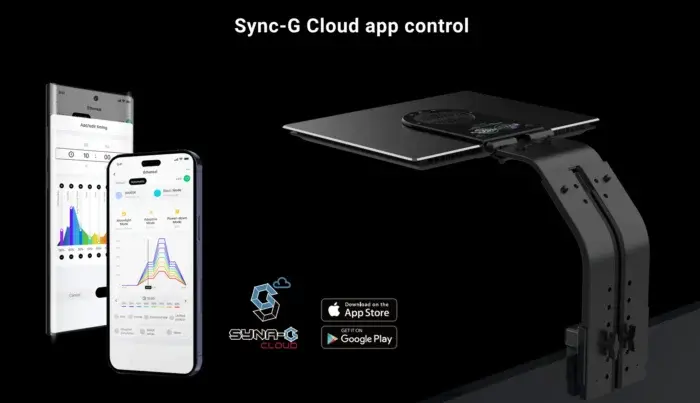 Ethereal Infinite4.webp