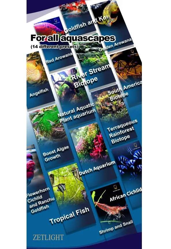 F8 PRO 96W Zetlight_08.webp