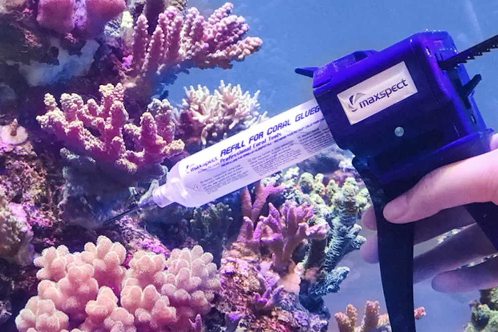 PCT-G CORAL GUN_002.webp