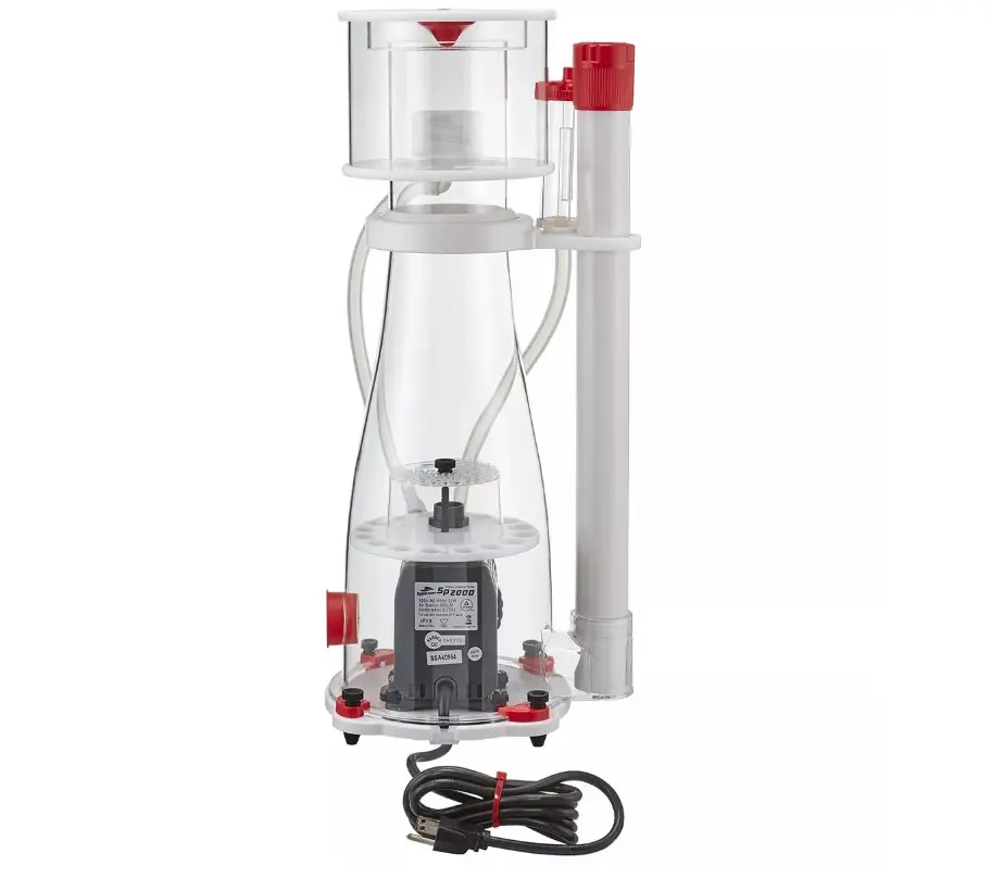 Curve 7 Skimmer_001.webp