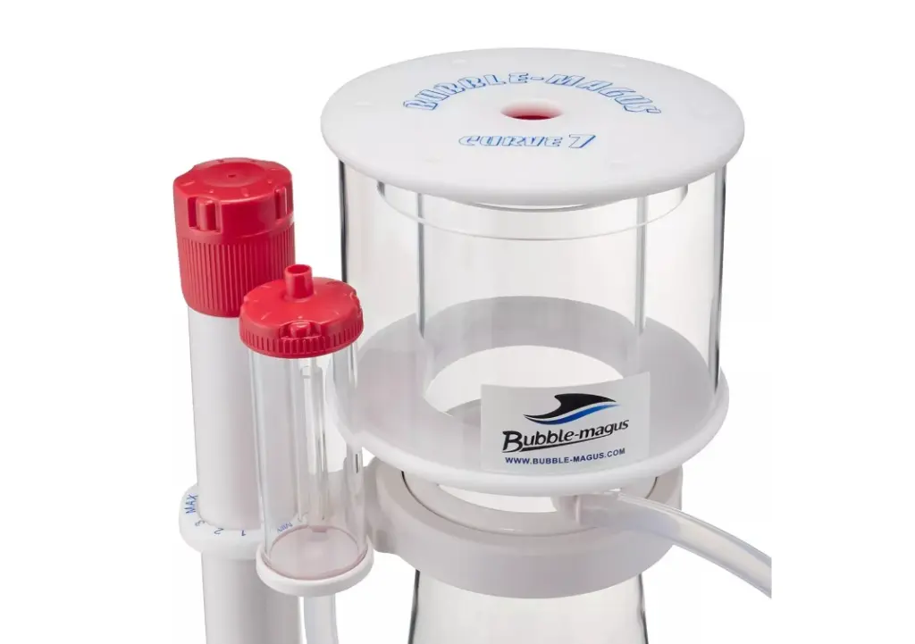 Curve 7 Skimmer_003.webp