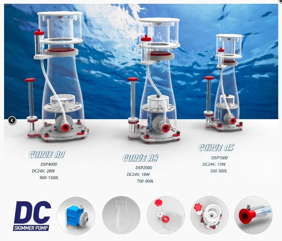 Curve A8 Skimmer_001.webp