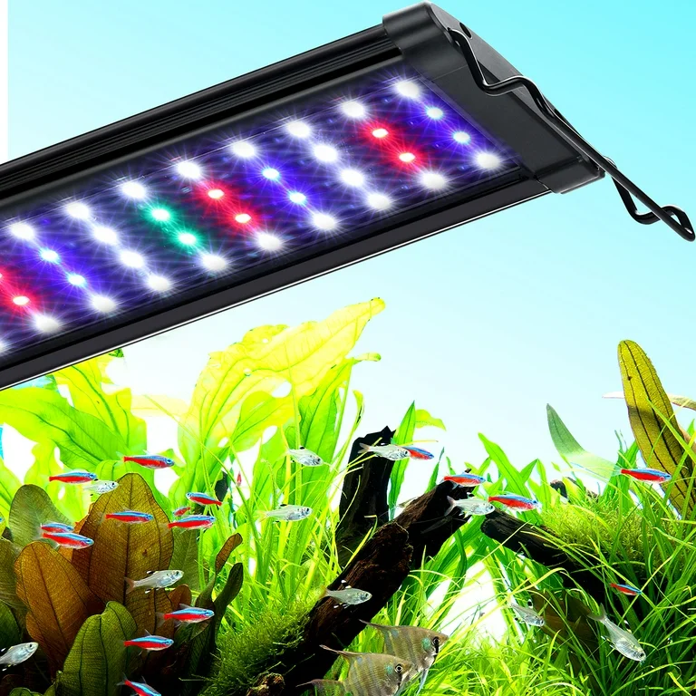 Buen Amigo QL-60S Led Lighting