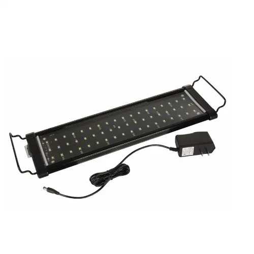 Buen Amigo QL-30S Led Lighting