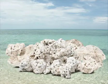 Natural Rock 