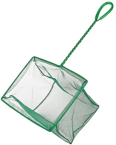 Fish Net 10 Inch