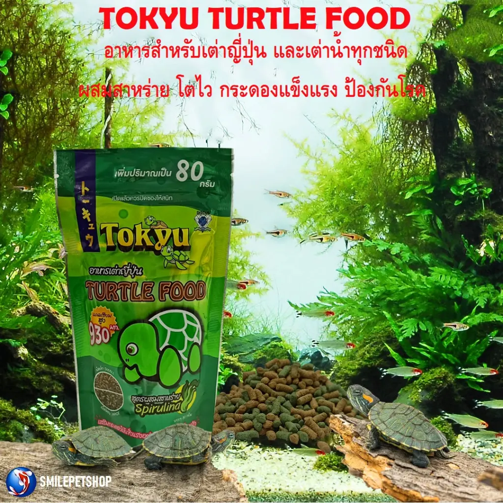 Tokyu Turtle Food 80gm