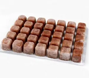 FFF Artemia(Blister) 100gm