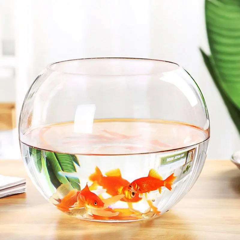 Fish Bowl