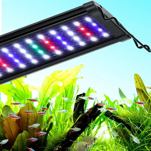 [AQP-1423] Buen Amigo QL-60S Led Lighting