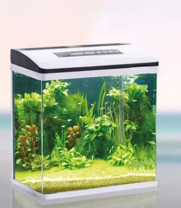 [AQP-1374] AF-385 Aquarium