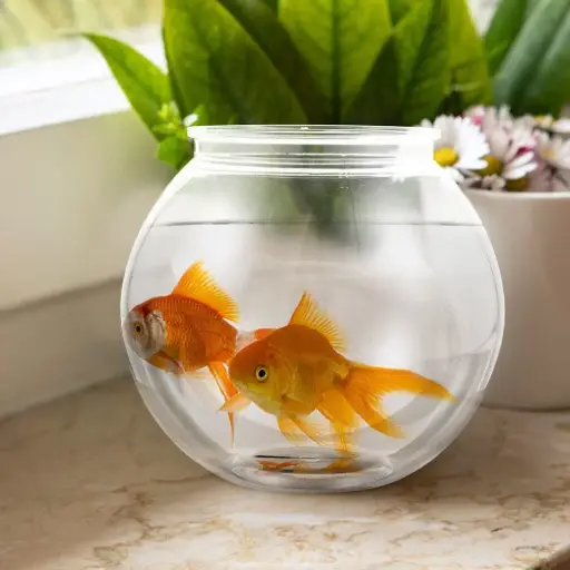 [AQP-1662] YG-205 - Clear Fish Bowl - Dia 21 x 17.5