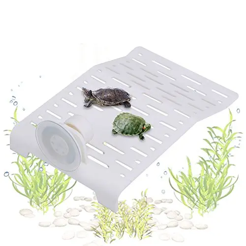 [AQP-1432] QL-250T Turtle Terrace