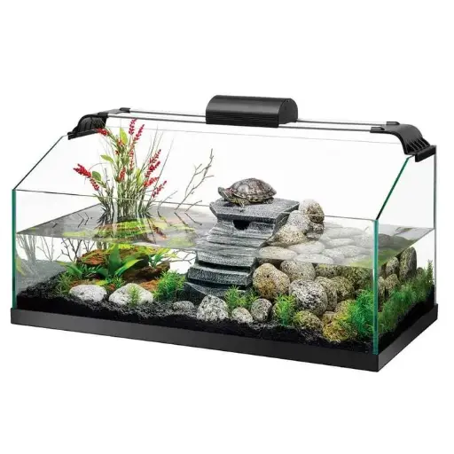 [AQP-1347] Turtle tank