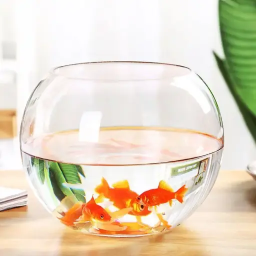 [AQP-2494] Fish Bowl